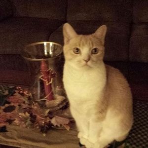 Meet your Posher, Joanne